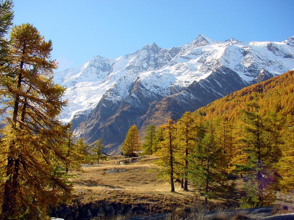 Apartmán Haus Erle Saas-Grund Exteriér fotografie