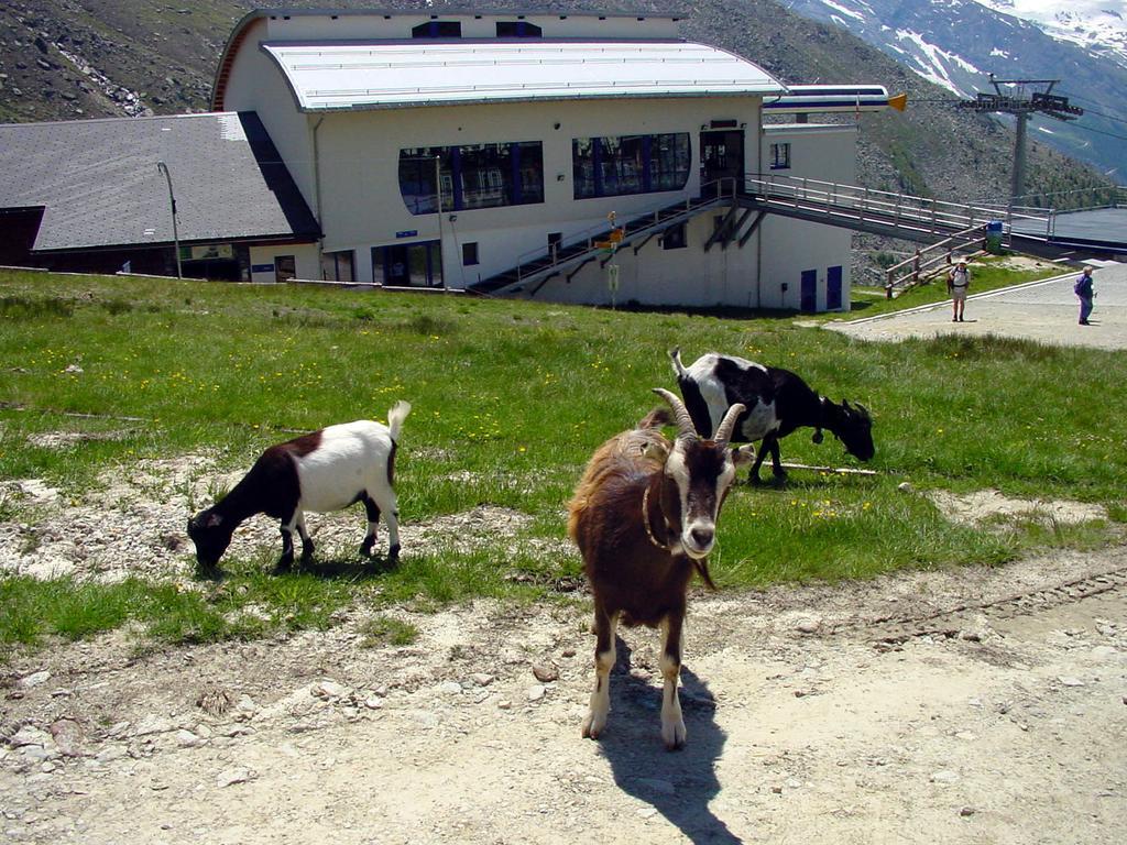 Apartmán Haus Erle Saas-Grund Exteriér fotografie