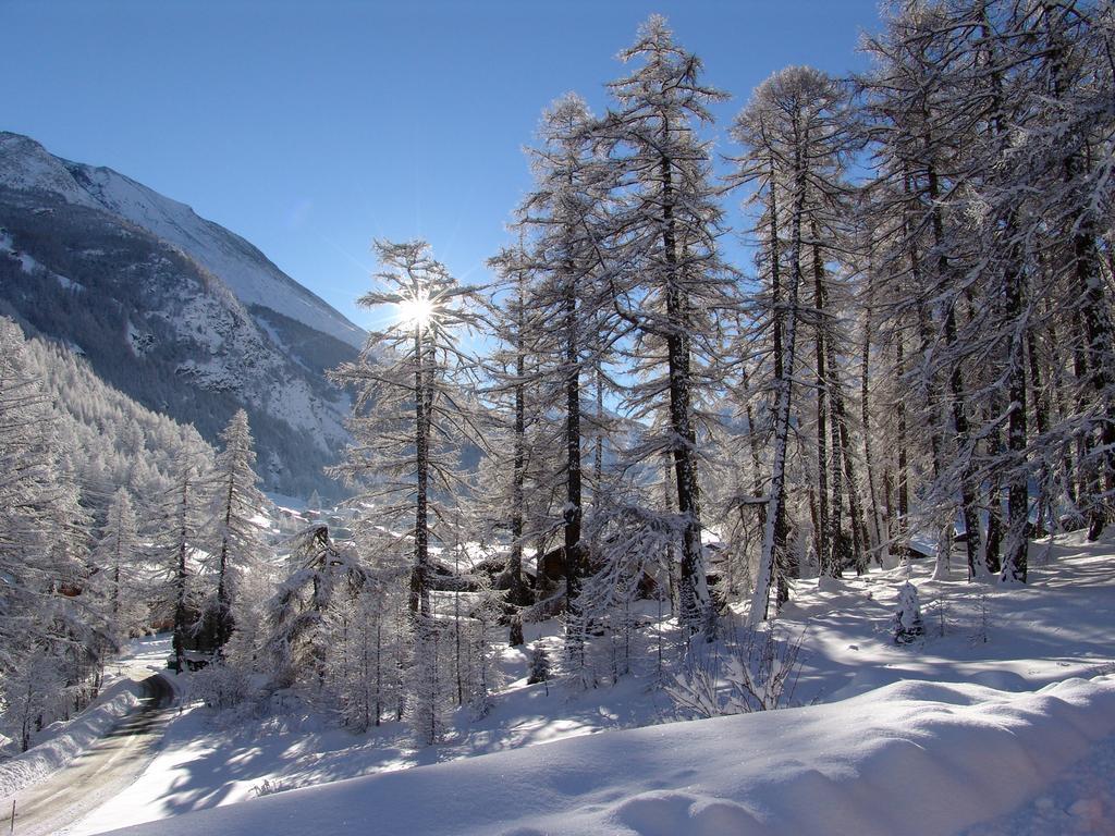 Apartmán Haus Erle Saas-Grund Exteriér fotografie